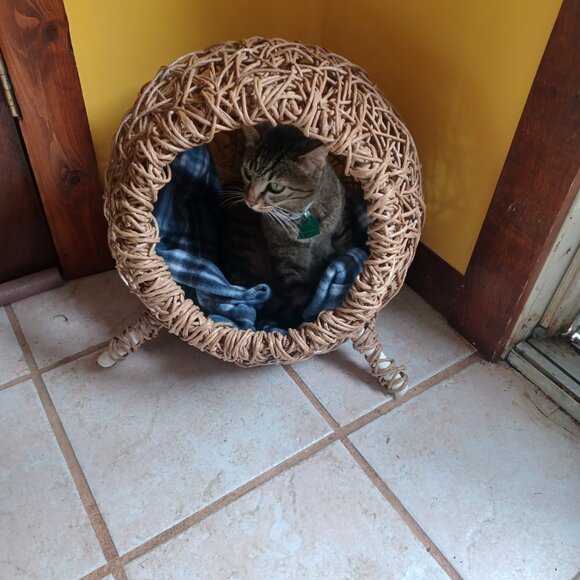 Handmade FiberRush Cat/Dog Bed - Picture 9 of 16